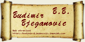 Budimir Bjeganović vizit kartica
